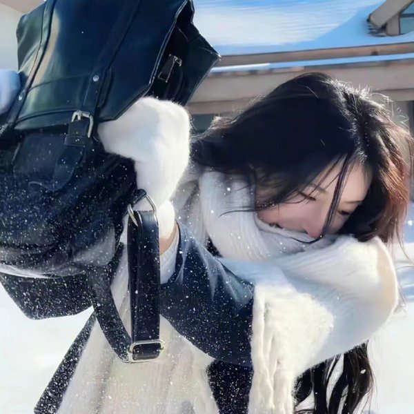 爱国者行动